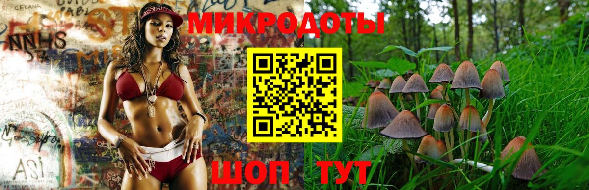 Псилоцибиновые грибы GOLDEN TEACHER  Вход с VPN  Сосновоборск 