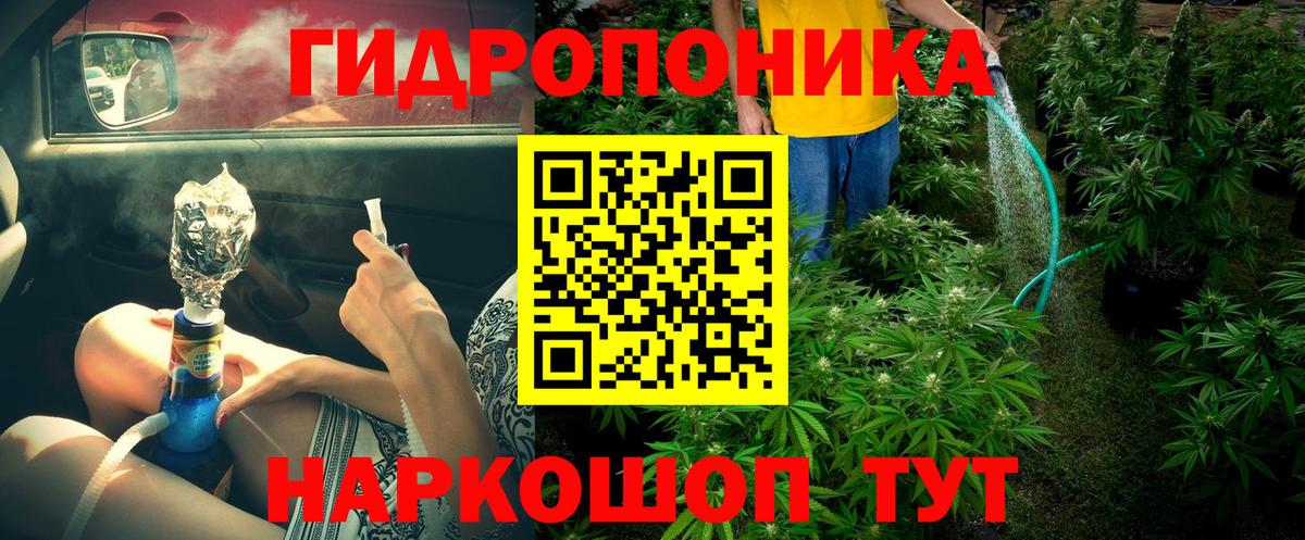 Шишки марихуана OG Kush  Вход с VPN  Сосновоборск  Марихуана OG Kush  Канабис VHQ  Бошки Шишки OG Kush 